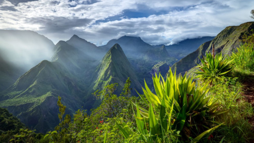 Die bunte Vielfalt La Réunions | Abendsonne Afrika