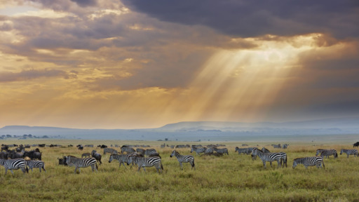 Die Höhepunkte Tansanias | Abendsonne Afrika