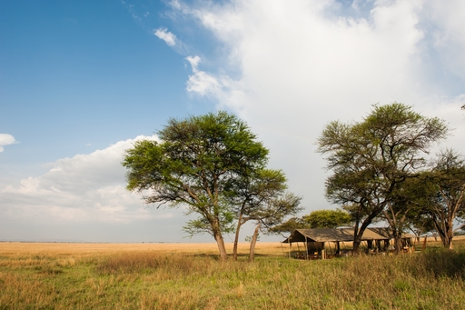 Serengeti Safari Camp | Abendsonne Afrika